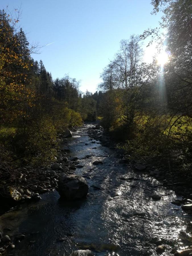 Apart Larcher Arzl im Pitztal Zewnętrze zdjęcie
